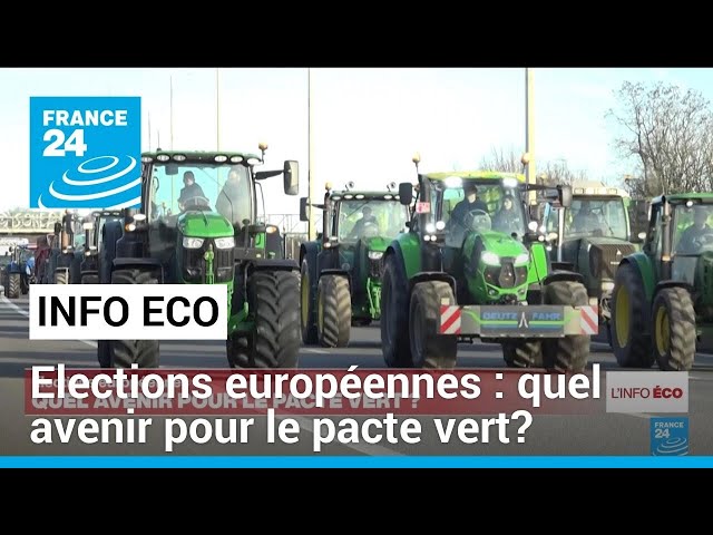 ⁣Elections européennes : quel avenir pour le pacte vert? • FRANCE 24