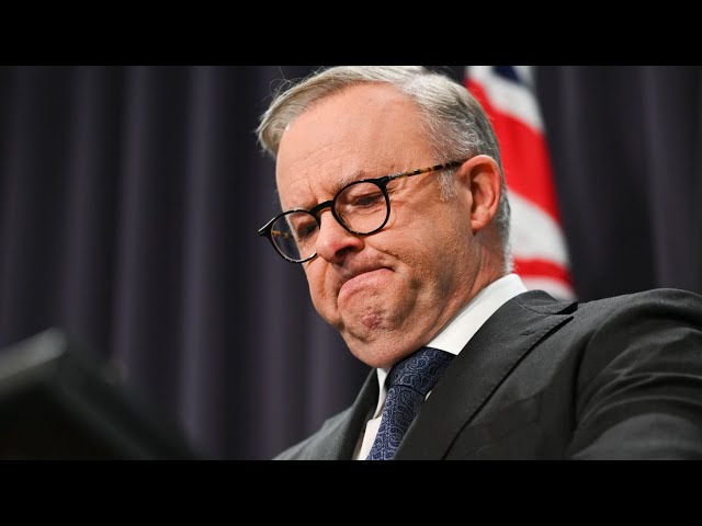 ⁣Albanese’s ‘boast’ about the polls could ‘come back to bite him’ as support for Labor falters