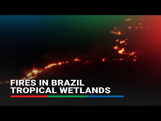 ⁣Fires rage on in Brazil tropical wetlands' worst since 2020