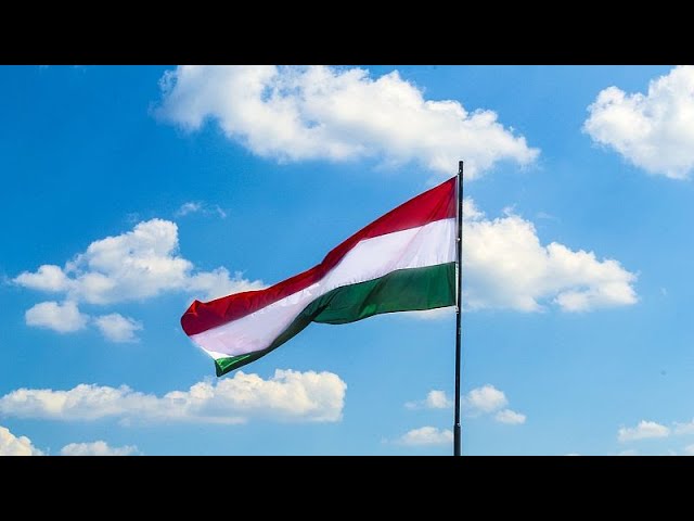 ⁣En Hongrie, la victoire de Viktor Orban et celle de son rival Peter Magyar