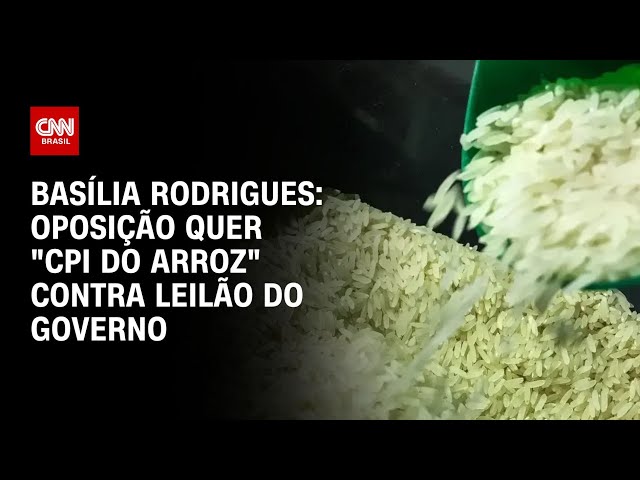 ⁣Basília Rodrigues: Oposição quer "CPI do arroz" contra leilão do governo | CNN NOVO DIA