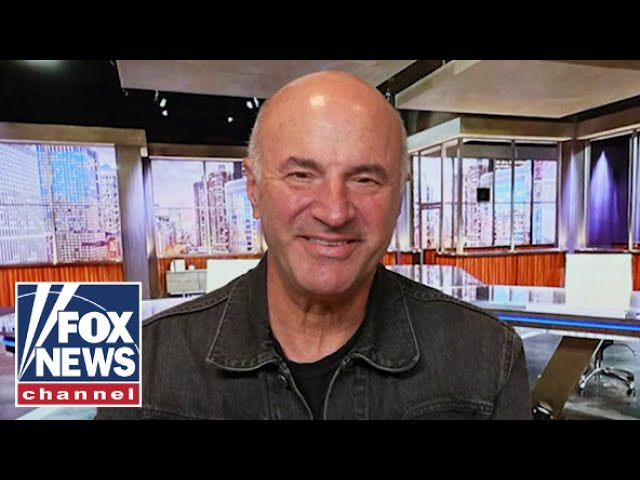 ⁣Kevin O’Leary: This issue will hurt at the polls