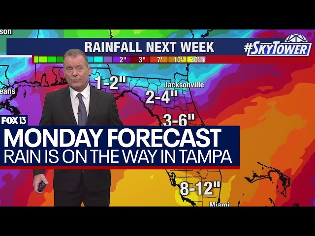 ⁣Tampa weather June 10, 2024 | previewing a rainy week