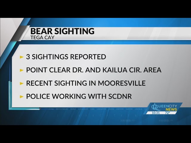 ⁣Tega Cay PD warn community after bear sighting