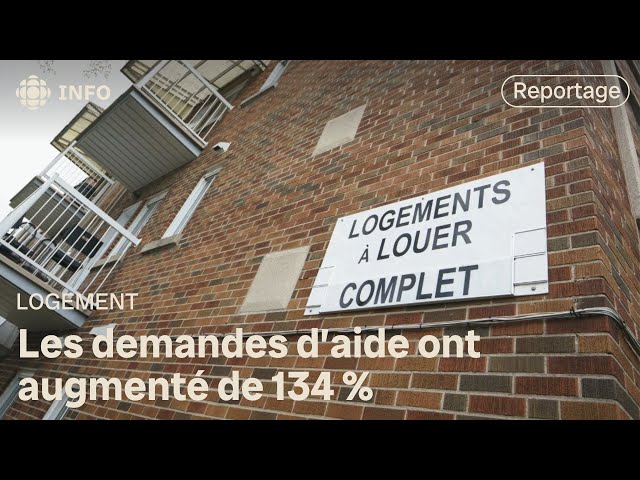⁣Logement : augmentation de 134 % des demandes d’aide à Québec