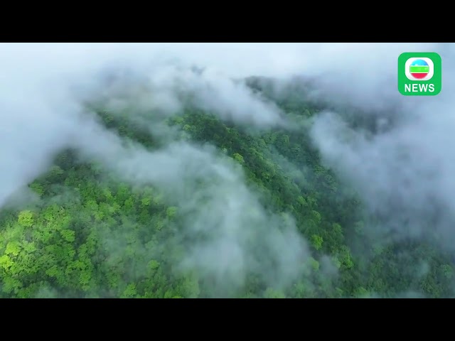 ⁣TVB News｜10/06/2024│Sea of clouds in Anhui