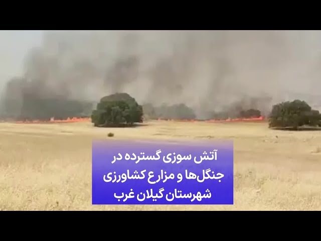 ⁣آتش سوزی گسترده در جنگل‌ها و مزارع کشاورزی شهرستان گیلان غرب