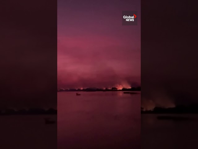 ⁣Fires continue path of destruction through Brazil’s Pantanal wetlands