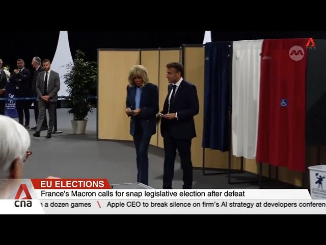 ⁣EU elections: Far-right parties deal defeats to France's Macron and Germany's Scholz