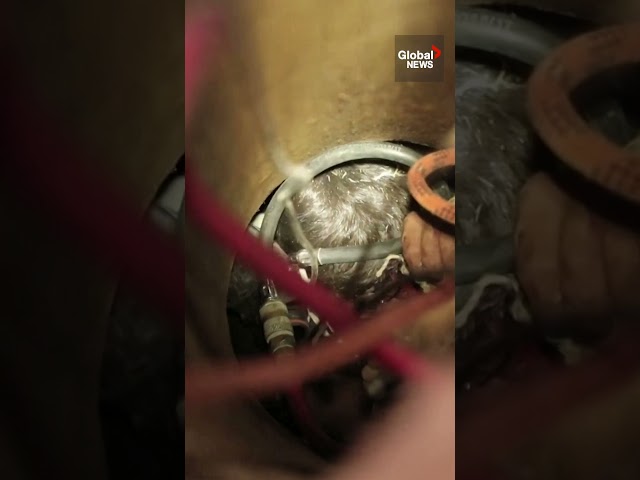 ⁣Child rescued after getting stuck in well in Syria