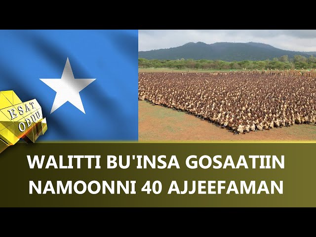 ⁣Ethiopia -ESAT ODUU June 10 2024