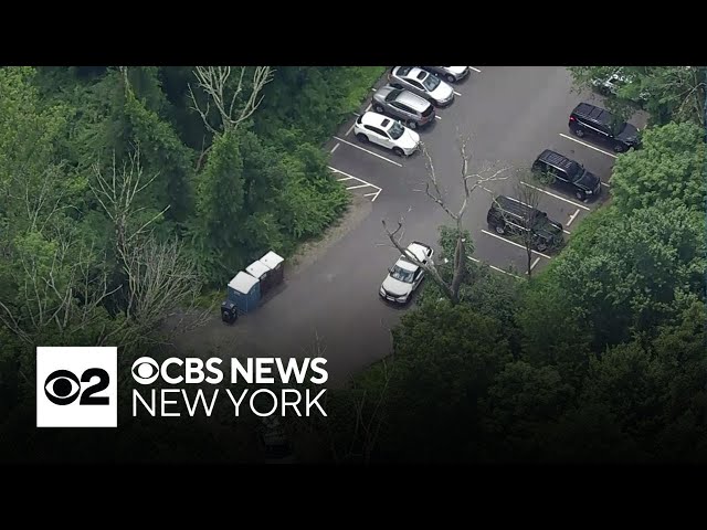 ⁣Aggressive bear shot at picnic area in New Jersey