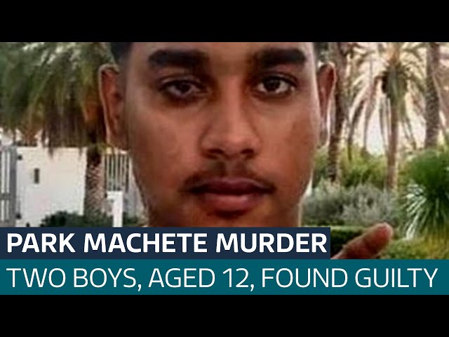 ⁣Shawn Seesahai: Two 12-year-old boys found guilty of murdering teenager in park with machete