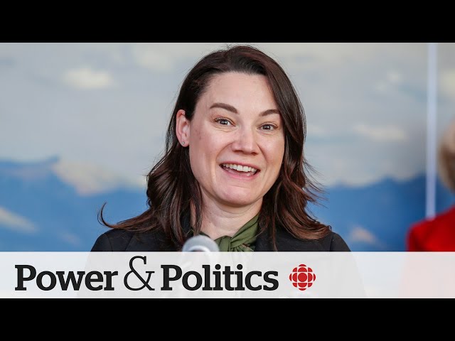 ⁣Alberta MLA quits over ‘harassment and surveillance’ | Power & Politics