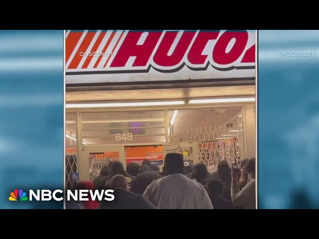 ⁣Dozens of burglars storm LA store as other retailers use body cameras to prevent retail theft