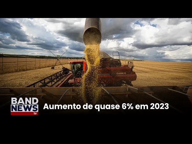 ⁣PIB do agronegócio mineiro fechou em R$ 228 bilhões | BandNews TV