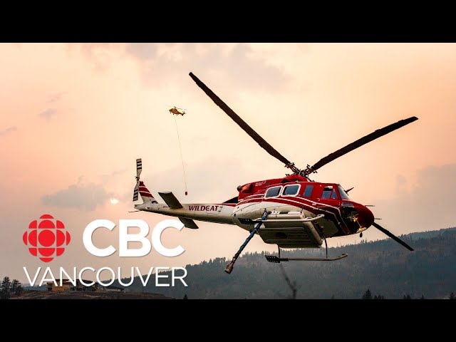 ⁣200 fewer wildfires in 2024, says B.C. Wildfire Service