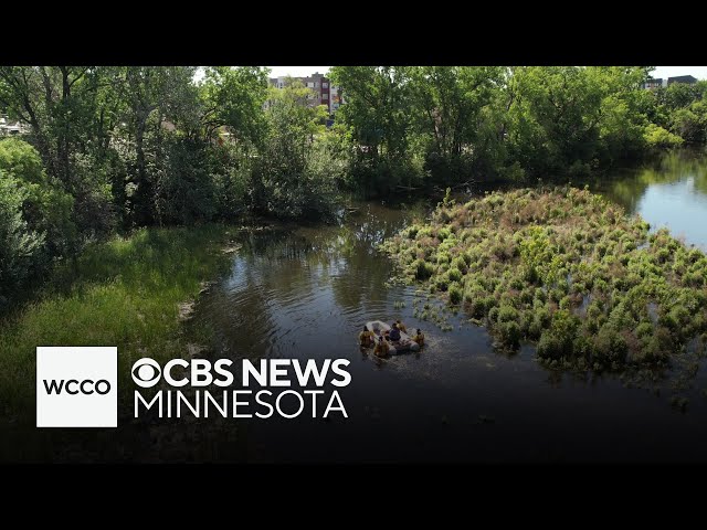 ⁣Crews find body of missing boy in Minnehaha Creek