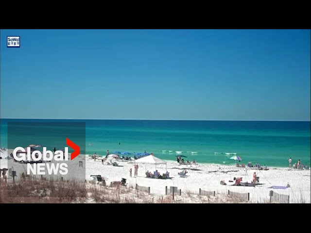 ⁣“Extremely unusual”: Concern after two shark attacks in Florida on same day