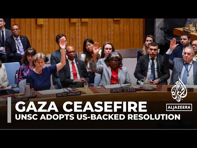 ⁣UN Security Council endorses US-sponsored Gaza ceasefire resolution