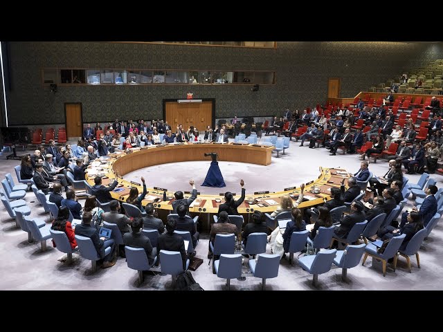⁣UN Security Council adopts resolution calling for immediate ceasefire in Gaza