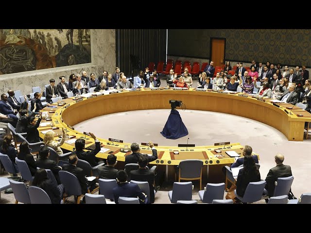 ⁣Le Conseil de sécurité des Nations Unies adopte une résolution appelant à un cessez-le-feu immédiat