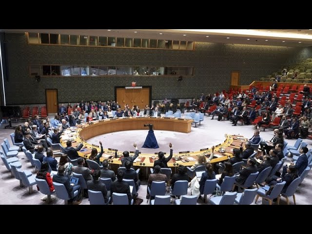 ⁣El Consejo de Seguridad de la ONU adopta un plan de alto el fuego respaldado por Estados Unidos