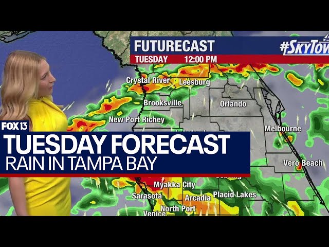 Tampa weather June 11, 2024 | rainy week kicks off in Tampa Bay