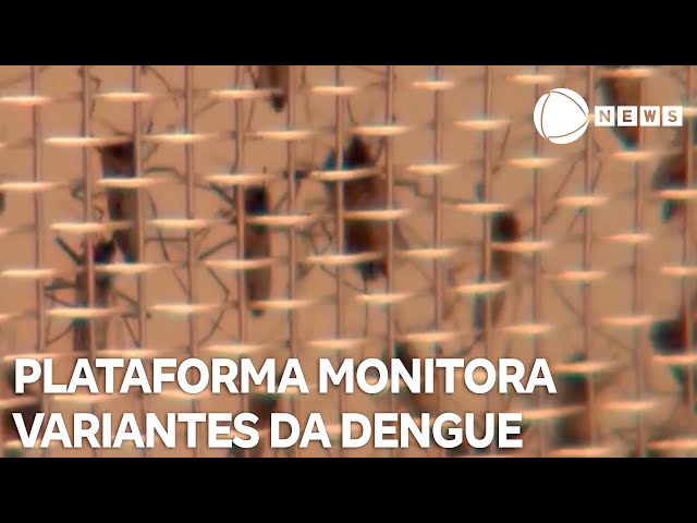 ⁣Pesquisadores criam plataforma para monitorar variantes da dengue