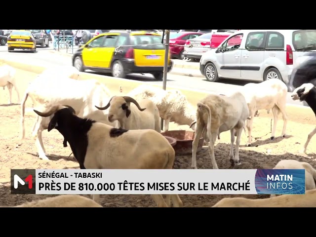 ⁣Sénégal - Tabaski : Près de 810.000 têtes mises sur le marché
