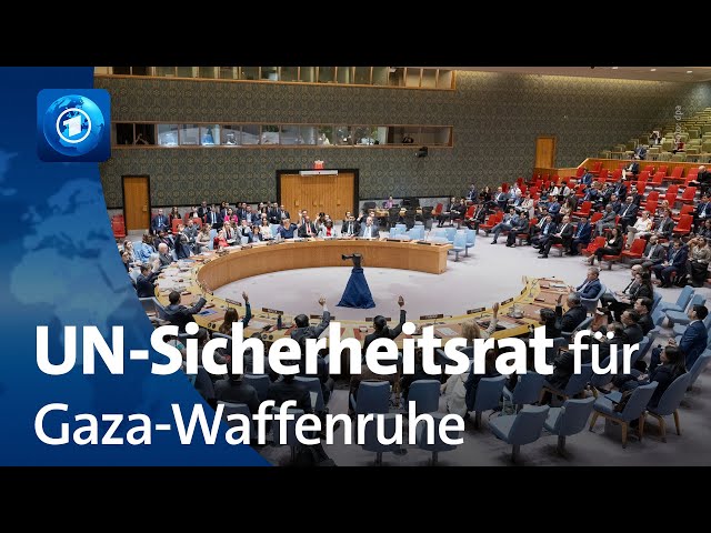 ⁣UN-Sicherheitsrat spricht sich für Waffenruhe-Plan in Gaza aus