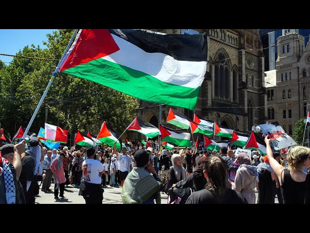 ⁣Pro-Palestinian protesters labelled as ‘useful idiots’