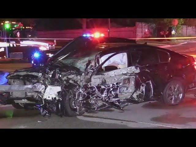 ⁣Teen charged in deadly Elk Grove Village crash