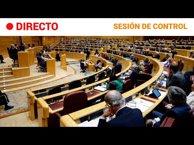 ⁣SENADO  EN DIRECTO: SESIÓN de CONTROL al GOBIERNO (11-06-2024) | RTVE Noticias