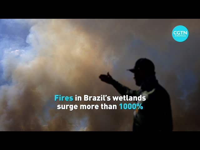 ⁣Fires in Brazil’s wetlands surge more than 1000%