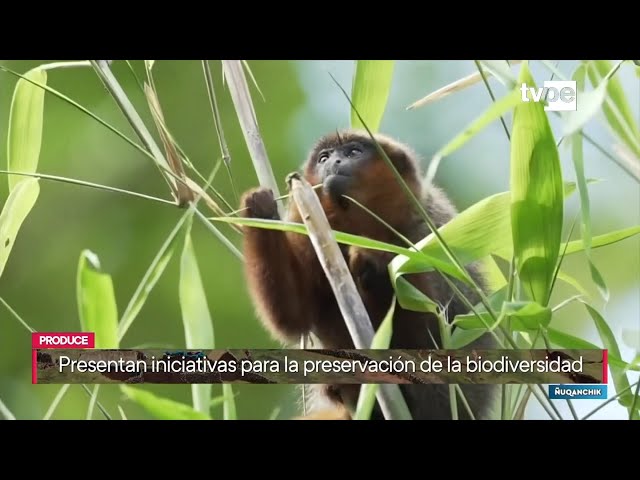 Ñuqanchik (11/06/2024) | TVPerú Noticias