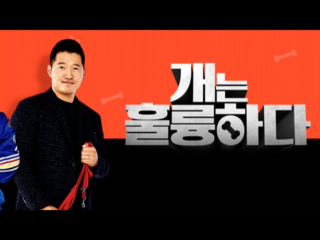 ⁣강형욱 제외 '개훌륭' 제작…KBS, 다음주 방송 재개 / 연합뉴스TV (YonhapnewsTV)