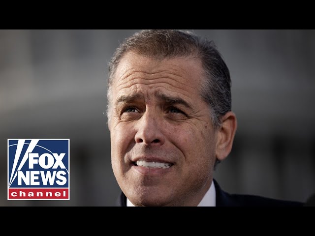 ⁣Hunter Biden juror speaks out after guilty verdict: 'Politics played no part in this'