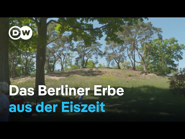 ⁣Naturschutz auf Berlins letzter Düne | DW Nachrichten