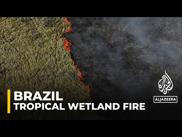 ⁣Brazil wildfires: Fires surge 980%, extreme drought expected