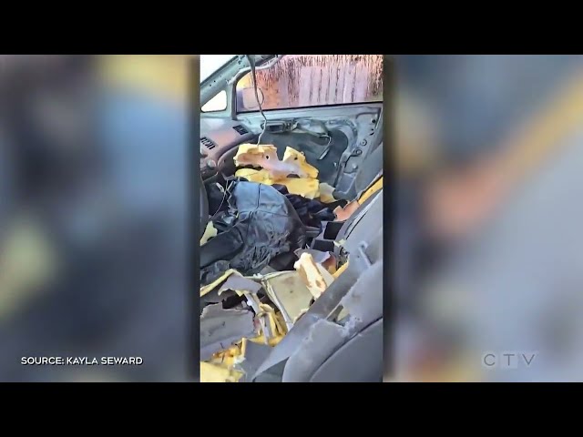 ⁣CAUGHT ON CAMERA | Ontario woman's car ransacked after bear gets stuck inside
