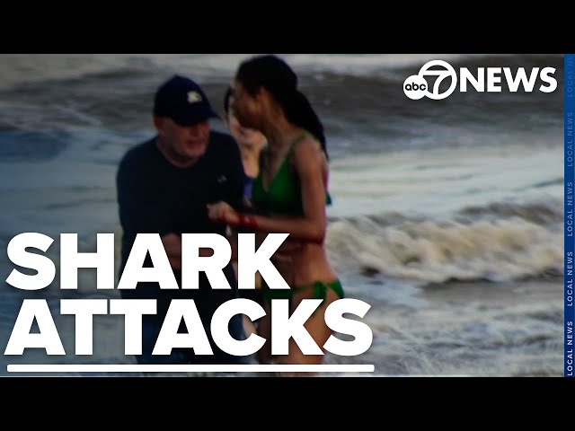 ⁣String of shark attacks occur in one day in Florida and Texas