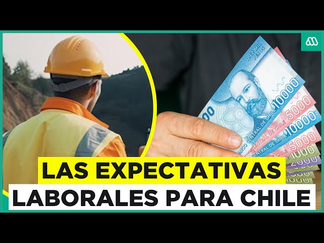 ⁣Las expectativas de empleo para Chile: Las mejores oportunidades para conseguir trabajo