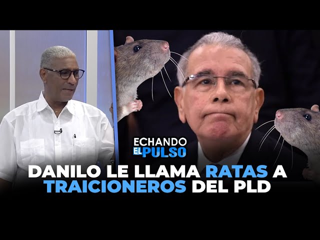 ⁣Danilo le llama ratas a traicioneros del PLD | Echando El Pulso