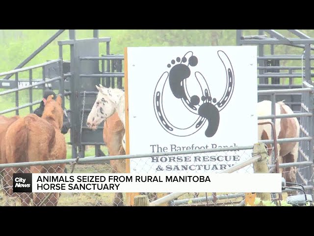 ⁣Dozens of animals seized from rural Manitoban animal sanctuary