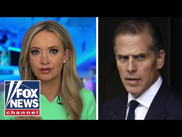 Kayleigh McEnany: I'd be STUNNED if Hunter Biden doesn't take plea deal ahead of tax charg