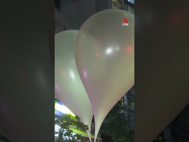 ⁣North Korea resumes sending trash balloons in response to activists in South Korea