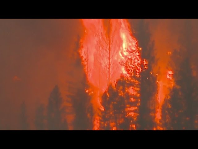 ⁣Interlaken Fire nears 200 acres near Leadville