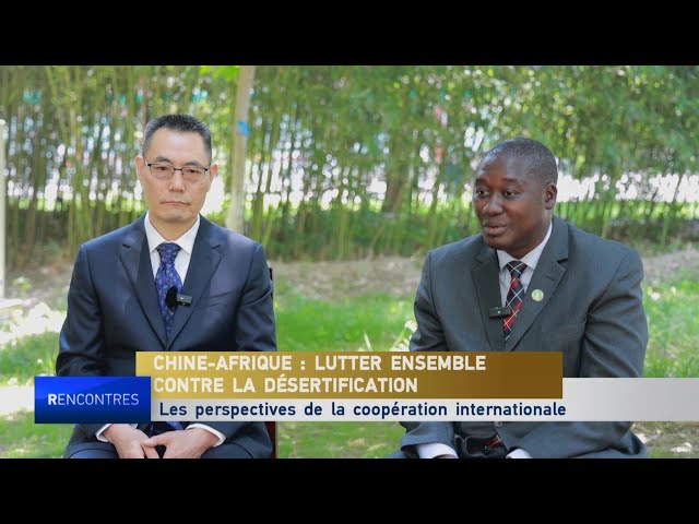⁣Chine-Afrique : lutter ensemble contre la désertification