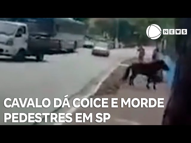 ⁣Prefeitura tenta localizar cavalo que mordeu pedestres em SP